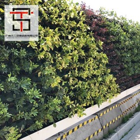 环保绿植围挡应用在道路施工现场