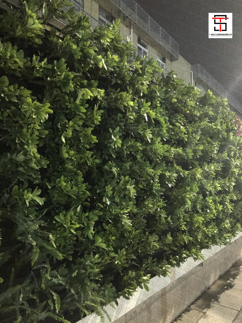 给力!广州街头深夜聚焦三田绿植围挡